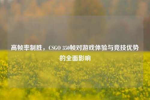 高帧率制胜,CSGO 350帧对游戏体验与竞技优势的全面影响
