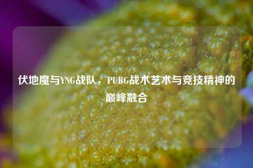 伏地魔与YNG战队,PUBG战术艺术与竞技精神的巅峰融合