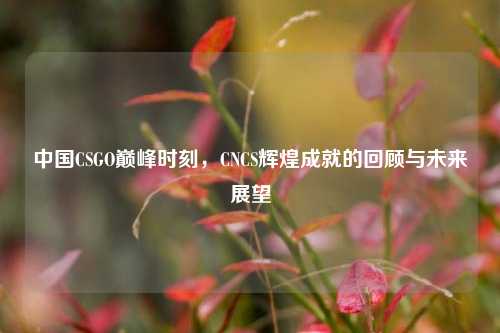 中国CSGO巅峰时刻,CNCS辉煌成就的回顾与未来展望