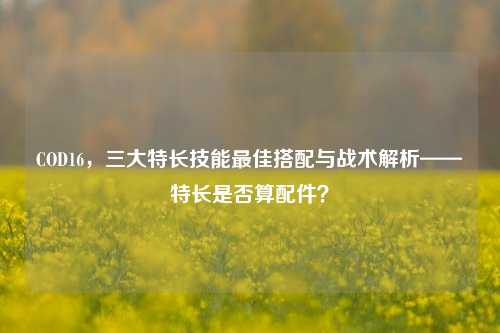 COD16,三大特长技能更佳搭配与战术解析——特长是否算配件?