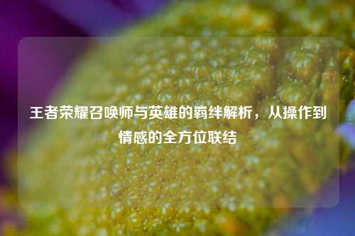 王者荣耀召唤师与英雄的羁绊解析,从操作到情感的全方位联结
