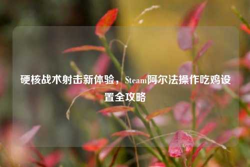 硬核战术射击新体验,Steam阿尔法操作吃鸡设置全攻略