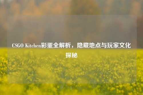 CSGO Kitchen彩蛋全解析,隐藏地点与玩家文化探秘