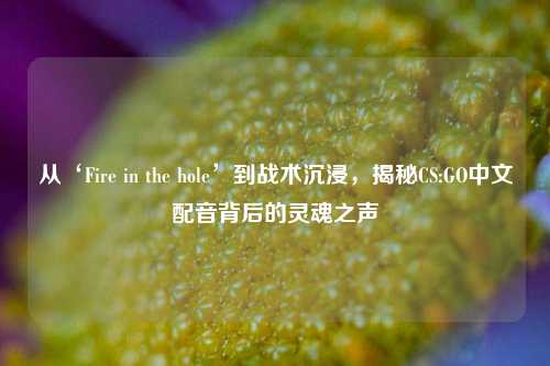 从‘Fire in the hole’到战术沉浸,揭秘CS:GO中文配音背后的灵魂之声