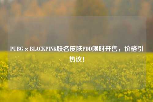 PUBG×BLACKPINK联名皮肤PDD限时开售,价格引热议!