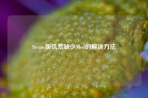 Steam版饥荒缺少Mod的解决 ***