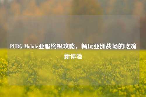 PUBG Mobile亚服终极攻略,畅玩亚洲战场的吃鸡新体验
