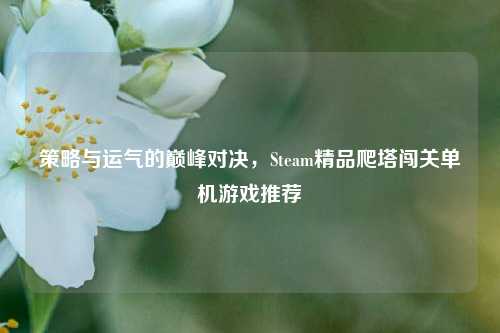 策略与运气的巅峰对决,Steam精品爬塔闯关单机游戏推荐