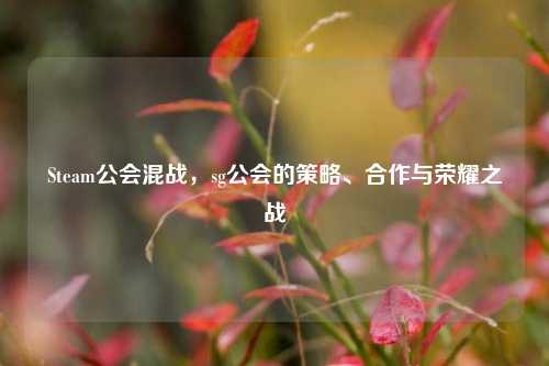 Steam公会混战,sg公会的策略、合作与荣耀之战