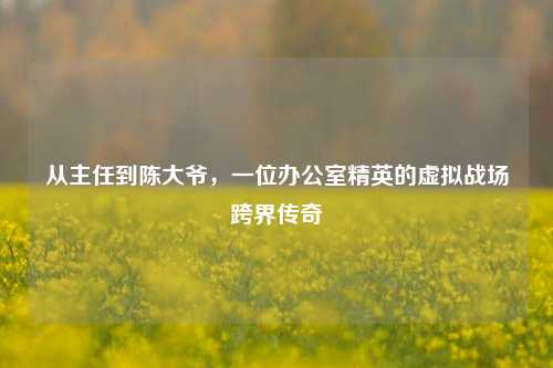 从主任到陈大爷,一位办公室精英的虚拟战场跨界传奇