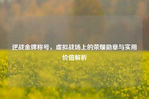 逆战金牌称号,虚拟战场上的荣耀勋章与实用价值解析