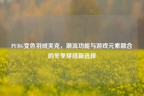 PUBG变色羽绒夹克,潮流功能与游戏元素融合的冬季穿搭新选择