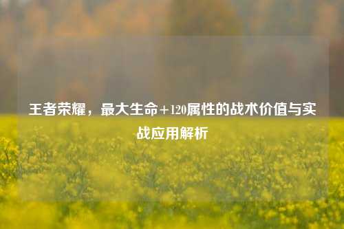 王者荣耀,更大生命+120属性的战术价值与实战应用解析