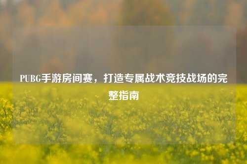 PUBG手游房间赛,打造专属战术竞技战场的完整指南
