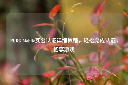 PUBG Mobile实名认证详细教程,轻松完成认证,畅享游戏