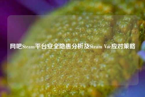 网吧Steam平台安全隐患分析及Steam Vac应对策略