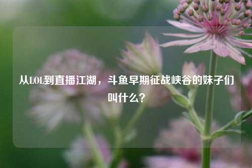 从LOL到直播江湖,斗鱼早期征战峡谷的妹子们叫什么?