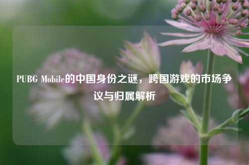 PUBG Mobile的中国身份之谜,跨国游戏的市场争议与归属解析
