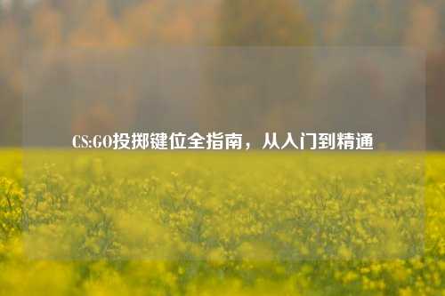 CS:GO投掷键位全指南,从入门到精通