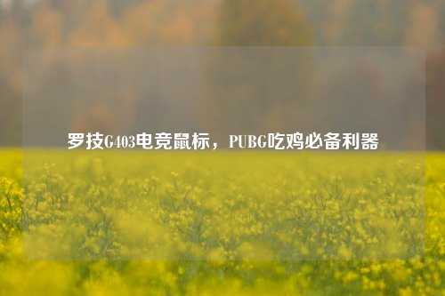 罗技G403电竞鼠标,PUBG吃鸡必备利器