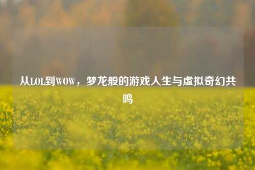 从LOL到WOW,梦龙般的游戏人生与虚拟奇幻共鸣