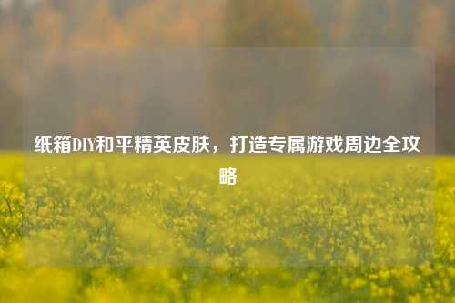 纸箱DIY和平精英皮肤,打造专属游戏周边全攻略