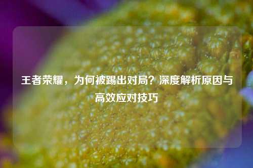 王者荣耀,为何被踢出对局?深度解析原因与高效应对技巧