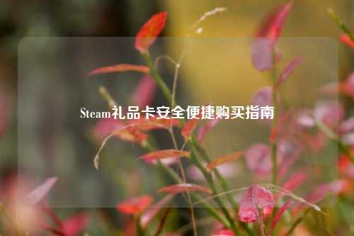 Steam礼品卡安全便捷购买指南