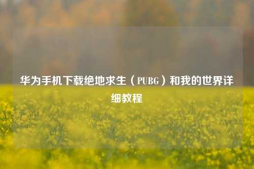 华为手机下载绝地求生(PUBG)和我的世界详细教程
