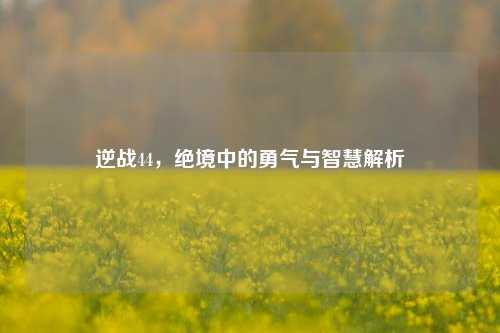逆战44,绝境中的勇气与智慧解析