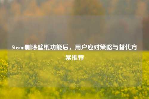 Steam删除壁纸功能后,用户应对策略与替代方案推荐
