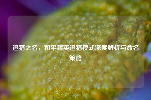 追猎之名,和平精英追猎模式深度解析与命名策略