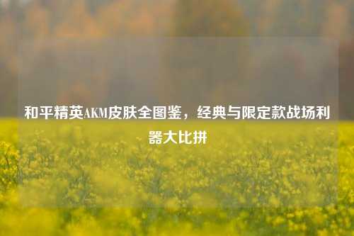 和平精英AKM皮肤全图鉴,经典与限定款战场利器大比拼