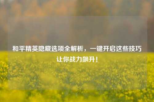 和平精英隐藏选项全解析,一键开启这些技巧让你战力飙升!