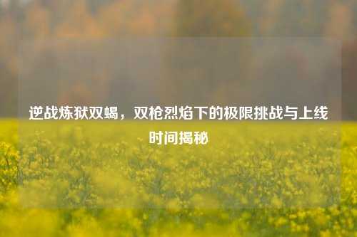 逆战炼狱双蝎,双枪烈焰下的极限挑战与上线时间揭秘