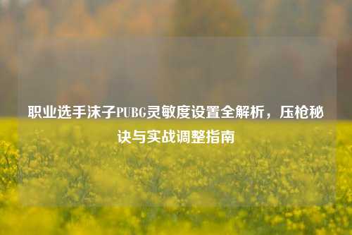 职业选手沫子PUBG灵敏度设置全解析,压枪秘诀与实战调整指南