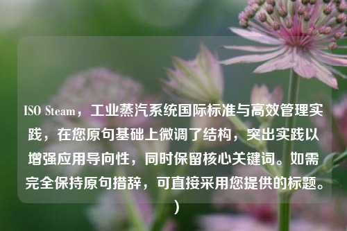 ISO Steam,工业蒸汽系统国际标准与高效管理实践,在您原句基础上微调了结构,突出实践以增强应用导向性,同时保留核心关键词。如需完全保持原句措辞,可直接采用您提供的标题。)