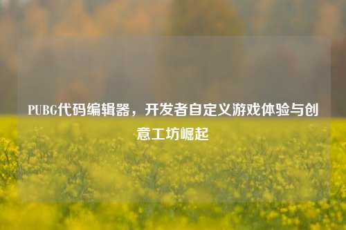 PUBG代码编辑器,开发者自定义游戏体验与创意工坊崛起