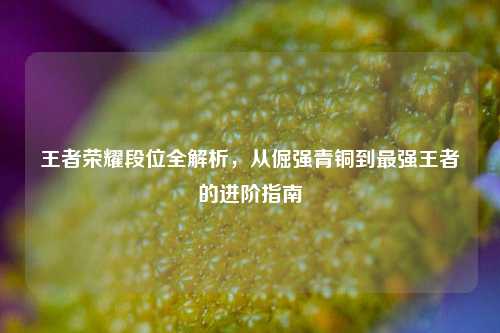 王者荣耀段位全解析,从倔强青铜到最强王者的进阶指南
