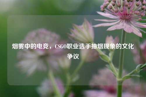 烟雾中的电竞,CSGO职业选手抽烟现象的文化争议