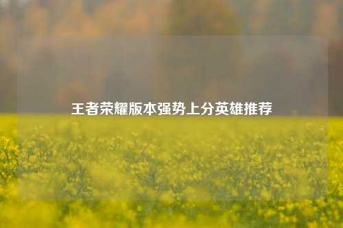 王者荣耀版本强势上分英雄推荐
