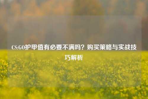 CS:GO护甲值有必要不满吗?购买策略与实战技巧解析