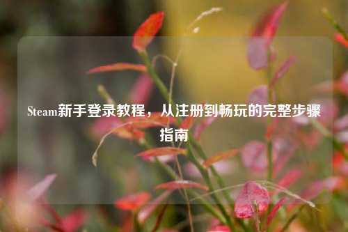 Steam新手登录教程，从注册到畅玩的完整步骤指南
