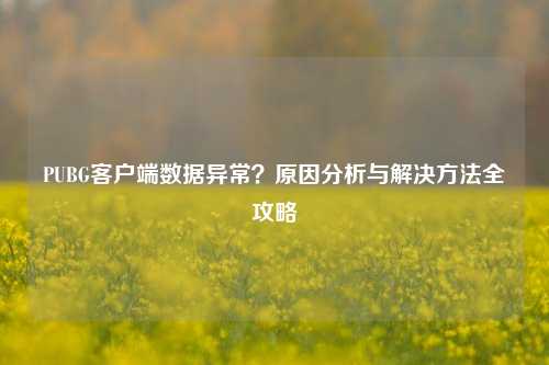 PUBG客户端数据异常?原因分析与解决 全攻略