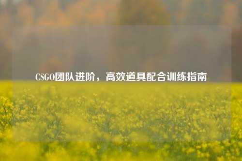 CSGO团队进阶,高效道具配合训练指南