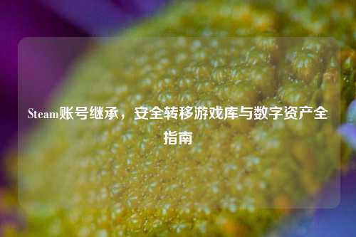 Steam账号继承,安全转移游戏库与数字资产全指南