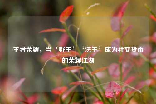 王者荣耀,当‘野王’‘法王’成为社交货币的荣耀江湖