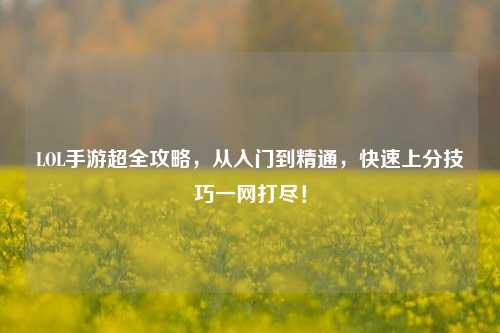 LOL手游超全攻略,从入门到精通,快速上分技巧一网打尽!