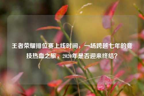王者荣耀排位赛上线时间,一场跨越七年的竞技热血之旅,2020年是否迎来终结?
