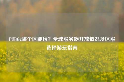 PUBG2哪个区能玩?全球服务器开放情况及区服选择游玩指南